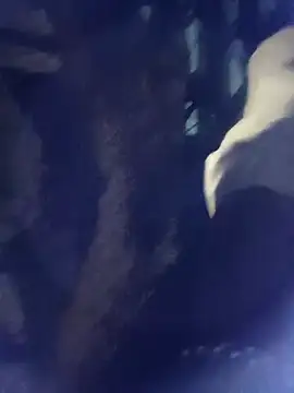 Snapshot of 8133vaibhavh chatting on 10/03/25, 02:03 8133vaibhavh online show from 10/03/25, 02:03