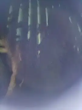 Snapshot of 8133vaibhavh chatting on 10/09/25, 02:48 8133vaibhavh online show from 10/09/25, 02:48