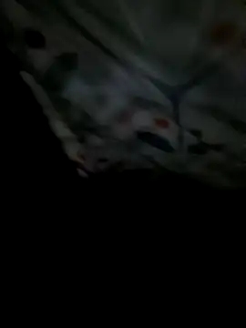 Snapshot of 8133vaibhavh chatting on 02/04/26, 02:28 8133vaibhavh online show from 02/04/26, 02:28