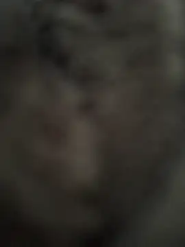 Immerhartundgeil online show from 05/09/26, 06:18