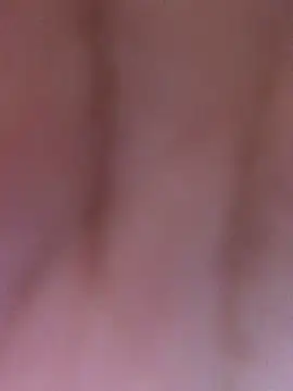 luzmelzinha online show from 04/04/26, 04:59