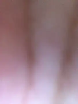 luzmelzinha online show from 04/11/26, 11:42