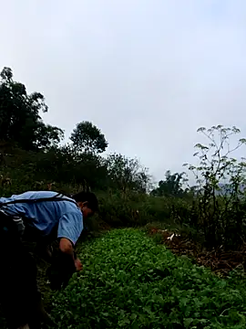 Snapshot of kemtuoi-sex chatting on 10/03/25, 01:13 kemtuoi-sex online show from 10/03/25, 01:13