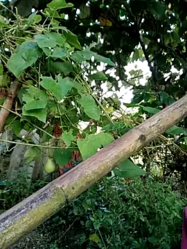 Snapshot of kemtuoi-sex chatting on 10/04/25, 11:58 kemtuoi-sex online show from 10/04/25, 11:58