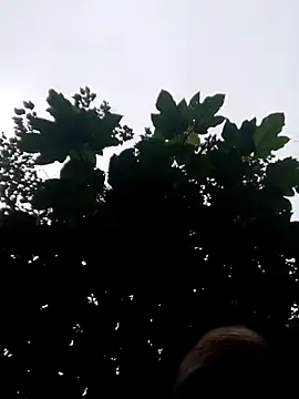 Snapshot of kemtuoi-sex chatting on 10/19/25, 11:05 kemtuoi-sex online show from 10/19/25, 11:05