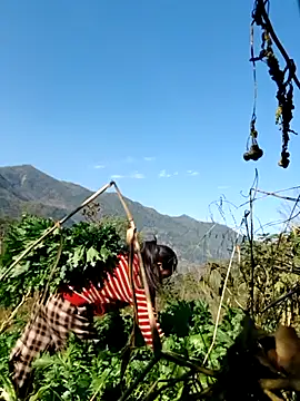 Snapshot of kemtuoi-sex chatting on 02/05/26, 08:08 kemtuoi-sex online show from 02/05/26, 08:08