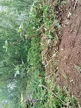 kemtuoi-sex online show from 04/19/26, 09:41