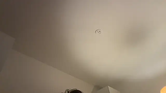 Swedishfish69 online show from 02/08/26, 04:32