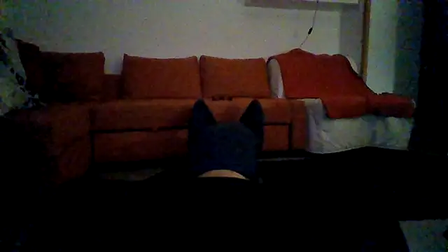 AntonioNice iml online show from 11/02/25, 06:16