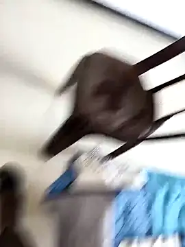 Chanderi19 online show from 09/30/25, 09:25