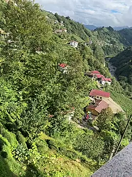 Snapshot of LAZ3R1 chatting on 10/21/25, 11:00 LAZ3R1 online show from 10/21/25, 11:00