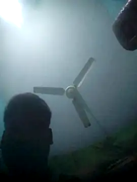 haryanaboypanipat12 online show from 03/10/26, 12:04