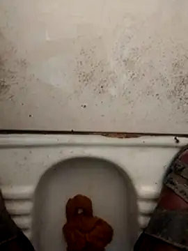 haryanaboypanipat12 online show from 03/17/26, 01:21