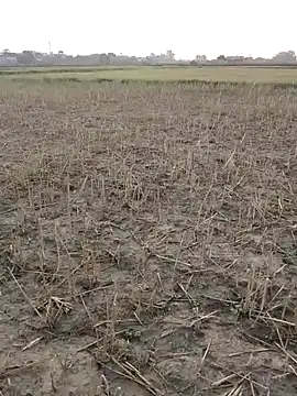 haryanaboypanipat12 online show from 05/14/26, 12:17