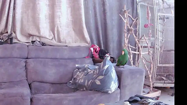 Alexis21821 online show from 11/13/25, 07:18