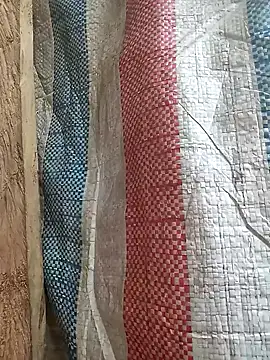 bonnie-00 online show from 01/13/26, 02:28