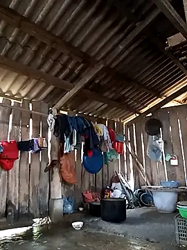 bonnie-00 online show from 02/15/26, 02:19