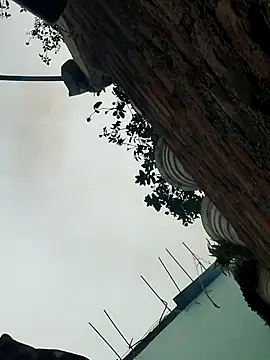 SexyIra89 online show from 12/19/25, 03:35