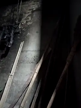 Dung x online show from 03/23/26, 12:31