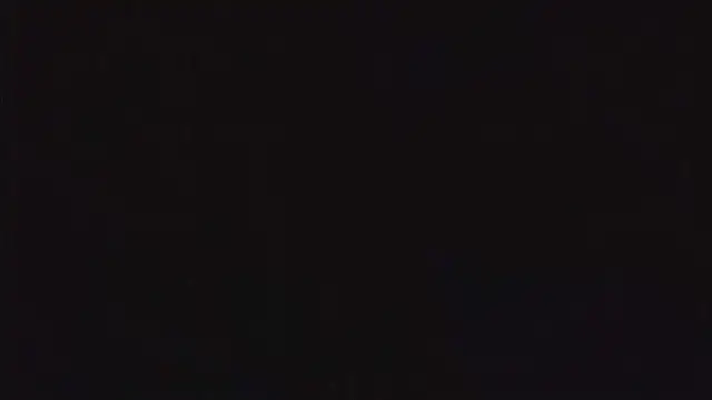 Snapshot of SienaWild chatting on 12/22/25, 05:32 SienaWild online show from 12/22/25, 05:32