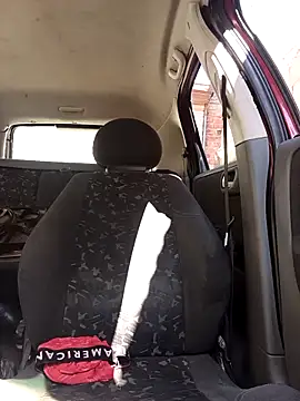 IssuedEcho online show from 02/28/26, 11:44