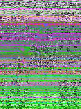 MaddyX   online show from 11/15/25, 07:21