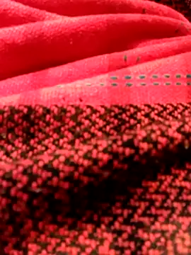 Snapshot of Aaisha-16 chatting on 12/15/25, 03:22 Aaisha-16 online show from 12/15/25, 03:22