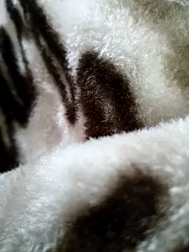 bold guy 1234 online show from 12/17/25, 05:35