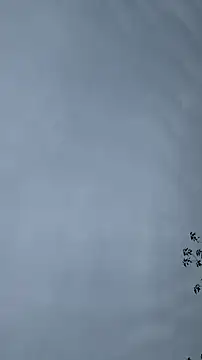 lulu5211 online show from 10/26/25, 09:37