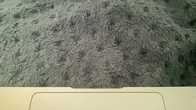 23istanblue23 online show from 04/02/26, 03:20