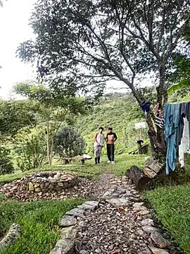 sky-wolves online show from 04/05/26, 10:29