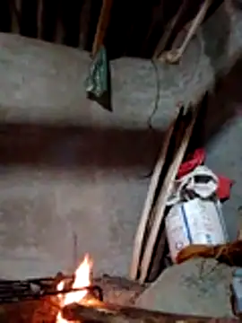 Snapshot of donna-bae chatting on 11/18/25, 11:37 donna-bae online show from 11/18/25, 11:37