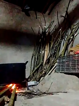 donna-bae online show from 03/09/26, 11:36