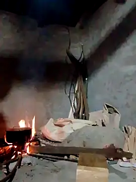 donna-bae online show from 04/16/26, 11:22