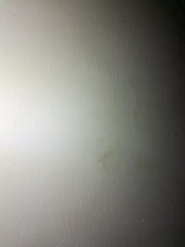 Snapshot of BigD_Mikee chatting on 12/17/25, 04:46 BigD Mikee online show from 12/17/25, 04:46