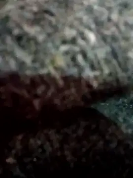 Hott locky online show from 12/13/25, 08:14