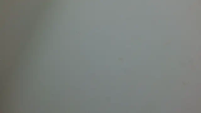cristal1609 online show from 05/14/26, 01:07