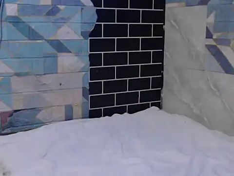 Newt4U online show from 11/11/25, 10:04