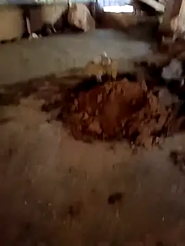 callistra online show from 01/13/26, 06:51