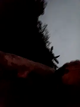 callistra online show from 03/13/26, 11:28