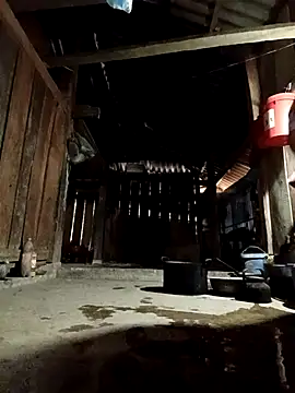 callistra online show from 04/07/26, 11:48