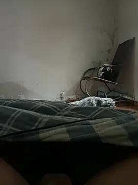 sambergSILVa online show from 11/08/25, 12:38