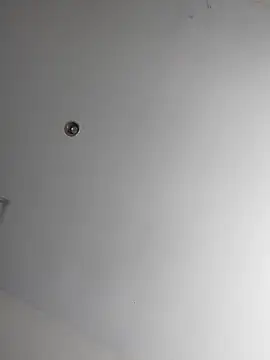 VIncent mimi online show from 11/17/25, 06:19