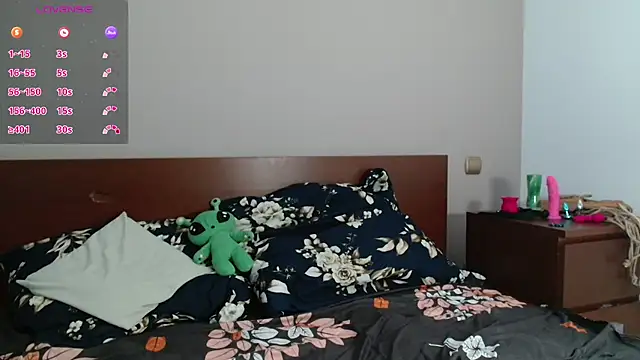 Snapshot of HardNerdVoid chatting on 10/14/25, 03:57 HardNerdVoid online show from 10/14/25, 03:57