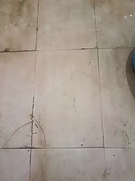 TeluguCuplehyd online show from 09/20/25, 11:17