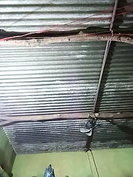 Haliya88 online show from 10/29/25, 10:55