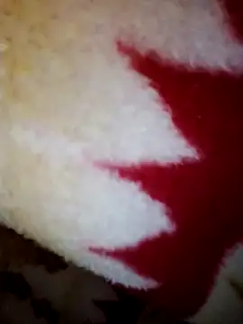 Snapshot of alone_boy802 chatting on 10/28/25, 08:29 alone boy802 online show from 10/28/25, 08:29