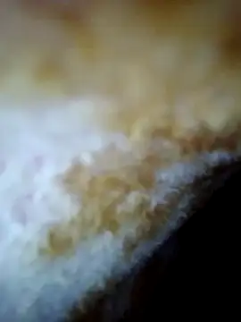 Snapshot of alone_boy802 chatting on 10/30/25, 06:26 alone boy802 online show from 10/30/25, 06:26