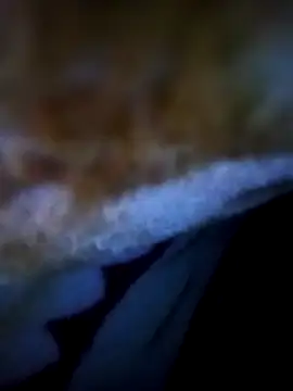 Snapshot of alone_boy802 chatting on 11/05/25, 12:54 alone boy802 online show from 11/05/25, 12:54