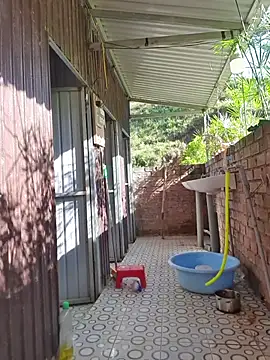 Helen-Tran online show from 11/26/25, 01:17